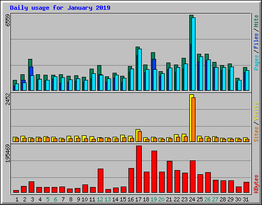 Daily usage for January 2019
