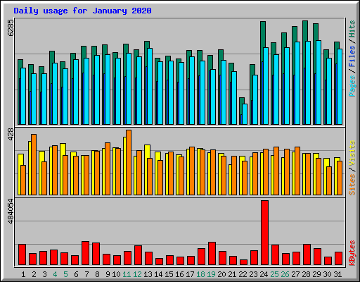 Daily usage for January 2020