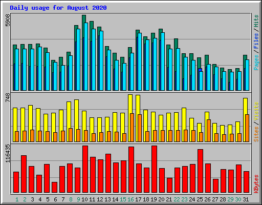 Daily usage for August 2020