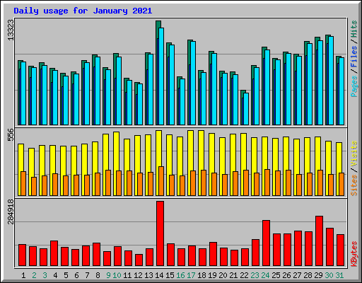 Daily usage for January 2021