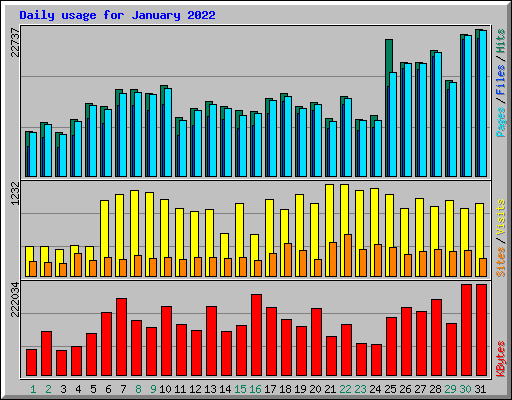 Daily usage for January 2022