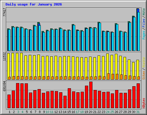 Daily usage for January 2026