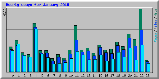 Hourly usage for January 2016