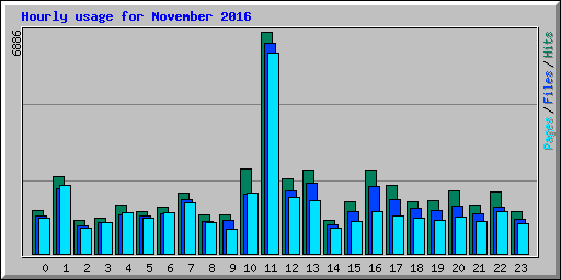 Hourly usage for November 2016