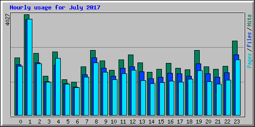 Hourly usage for July 2017