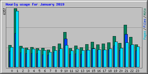 Hourly usage for January 2019