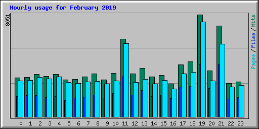 Hourly usage for February 2019