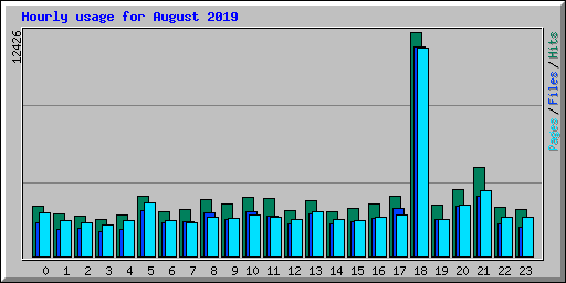 Hourly usage for August 2019