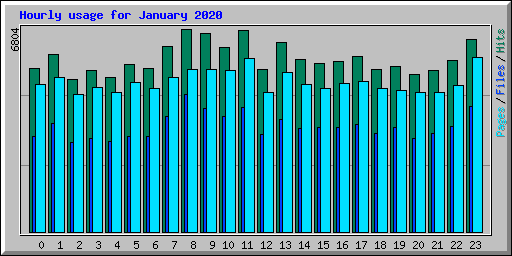 Hourly usage for January 2020