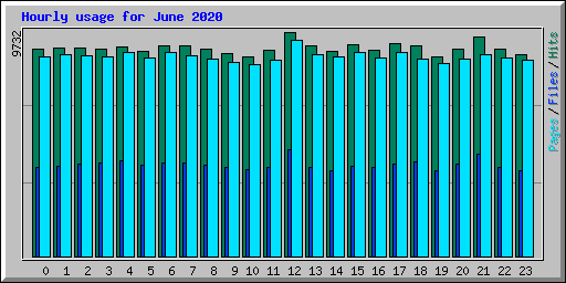 Hourly usage for June 2020