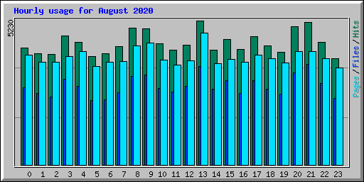 Hourly usage for August 2020