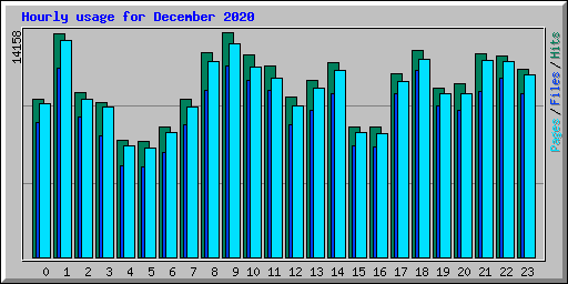 Hourly usage for December 2020