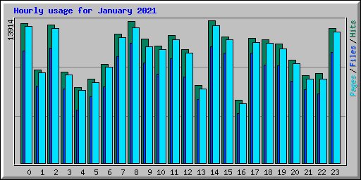 Hourly usage for January 2021