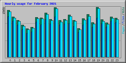 Hourly usage for February 2021