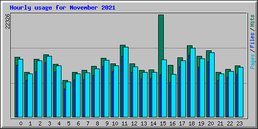 Hourly usage for November 2021