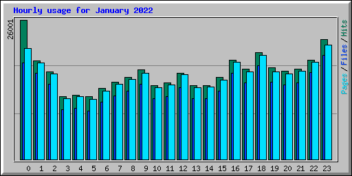 Hourly usage for January 2022