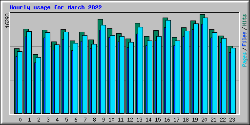 Hourly usage for March 2022