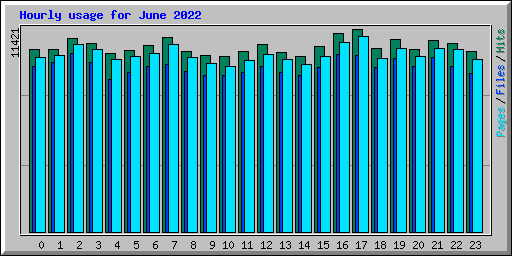 Hourly usage for June 2022