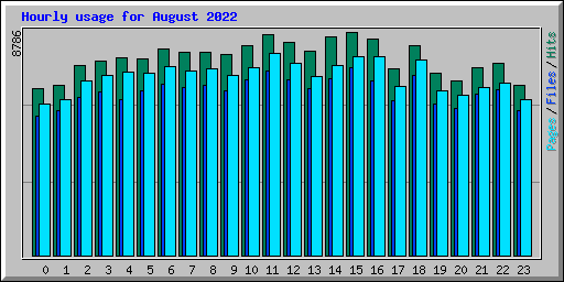 Hourly usage for August 2022