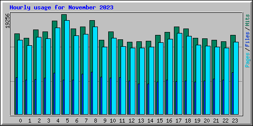 Hourly usage for November 2023