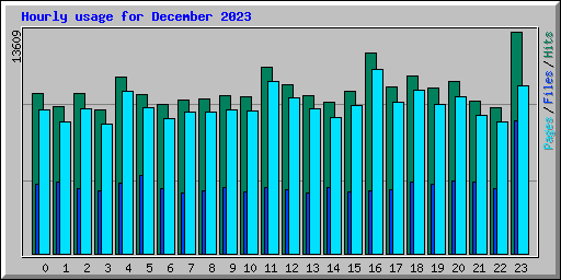 Hourly usage for December 2023