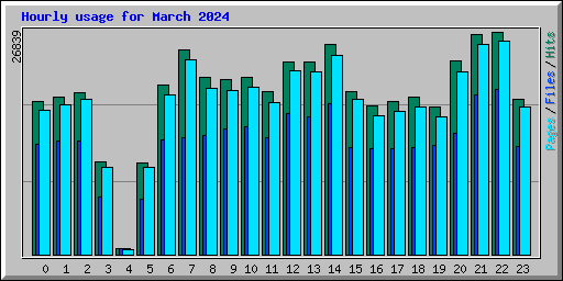 Hourly usage for March 2024