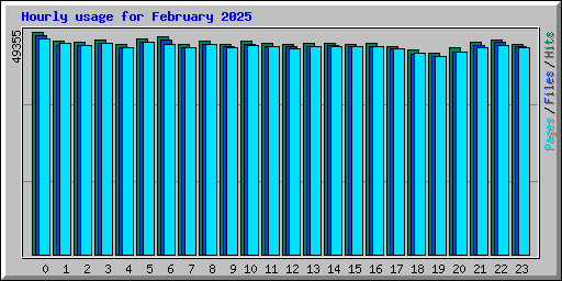 Hourly usage for February 2025