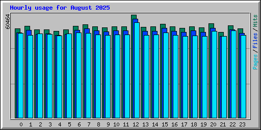 Hourly usage for August 2025