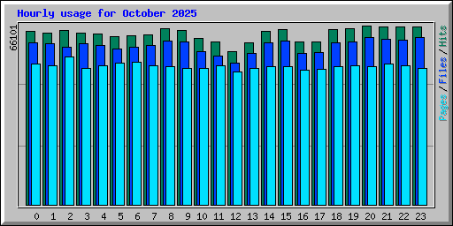 Hourly usage for October 2025