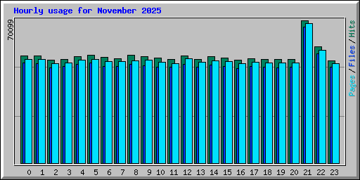 Hourly usage for November 2025