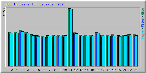 Hourly usage for December 2025