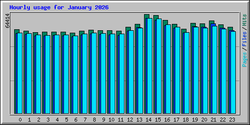 Hourly usage for January 2026