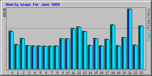 Hourly usage for June 2026