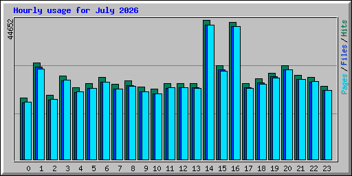 Hourly usage for July 2026