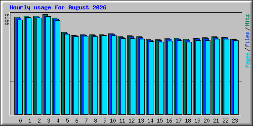 Hourly usage for August 2026